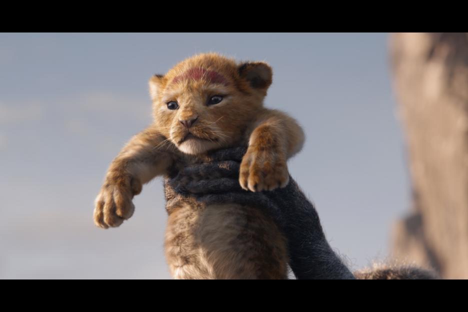 Baby Simba held up by Rafiki in Lion King movie still courtesy of Disney