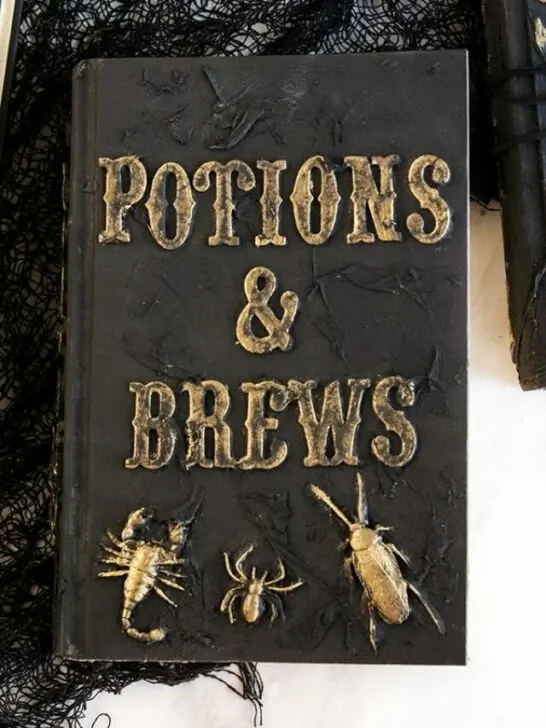 Black book with Potions & Brews in gold lettering and golden bugs on front cover.