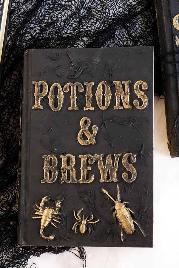 Black book with Potions & Brews in gold lettering and golden bugs on front cover.