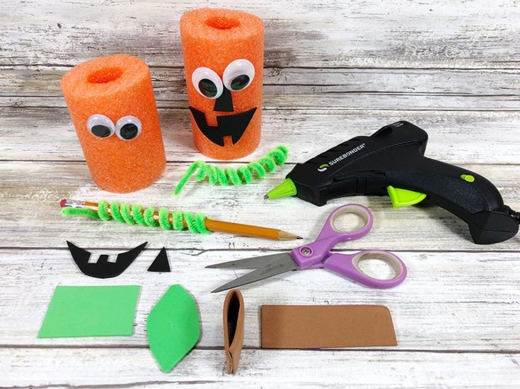 4 Halloween Pool Noodle Crafts DIY Halloween Decorations
