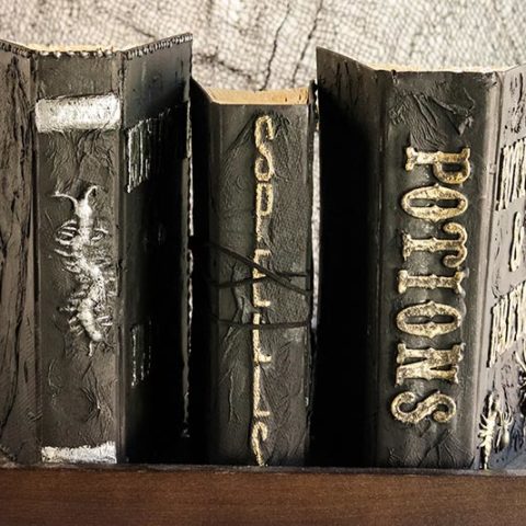 Set of 3 completed homemade spell books on standing on shelf with spines facing out. One with a centipede, one with Spells and one with Potions.