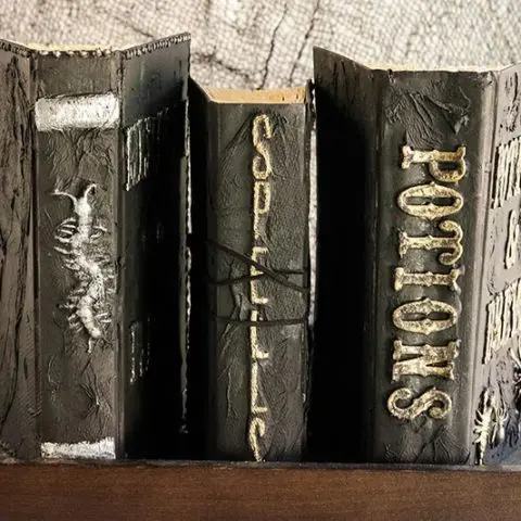 Set of 3 completed homemade spell books on standing on shelf with spines facing out. One with a centipede, one with Spells and one with Potions.