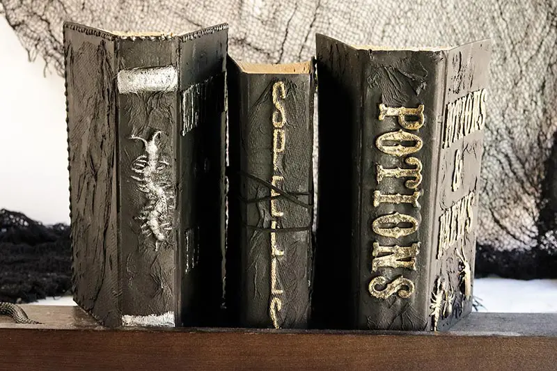 Set of 3 completed homemade spell books on standing on shelf with spines facing out. One with a centipede, one with Spells and one with Potions.