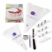 Wilton Cake Decorating Kit