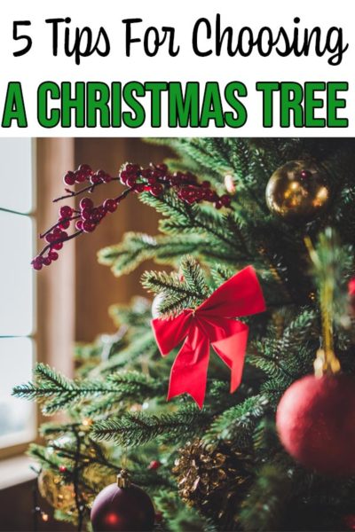 Choosing the Best Christmas Tree for Your Family