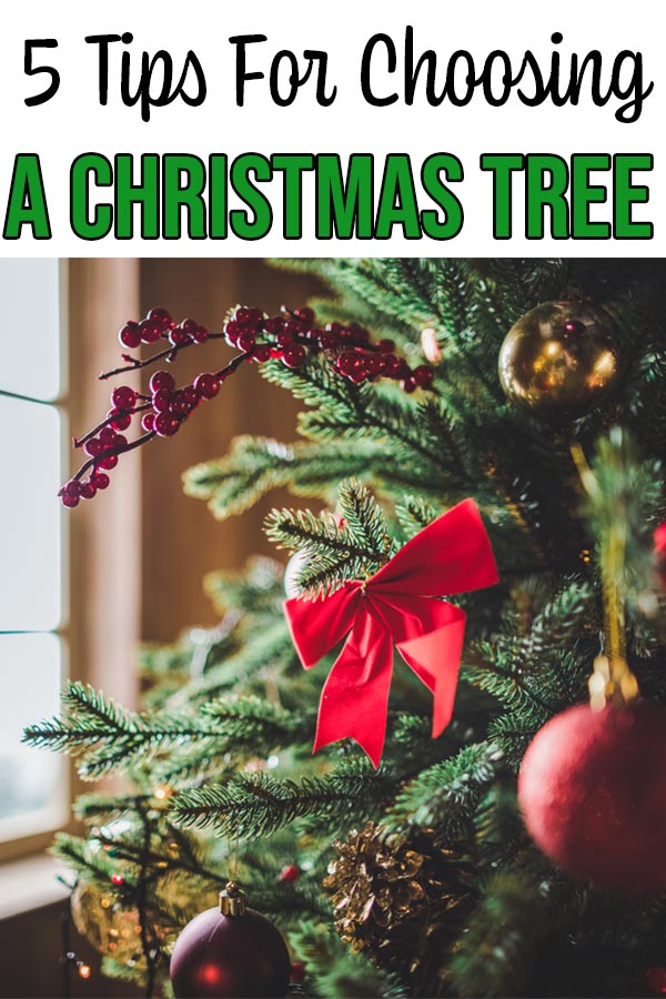 Close up of the side of a Christmas tree next to a window, decorated with ornaments and bows.