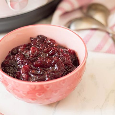 Close up shot of cranberry sauce in a small pink bowl.