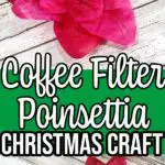 Image collage of finished coffee filter poinsettias with green rectangle in the middle with a text overlay stating name of project.