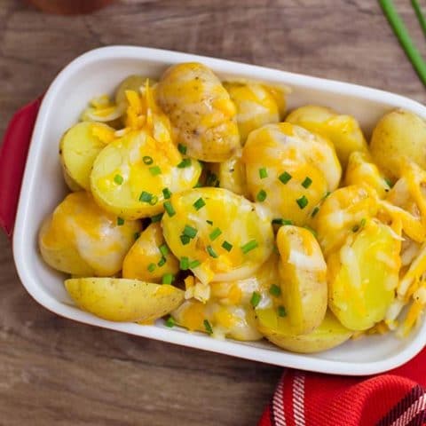 Overhead shot of small rectangular white and red serving dish filled with cheesy potatoes.