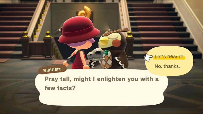 Player speaking to Blathers at the museum in Animal Crossing New Horizons.