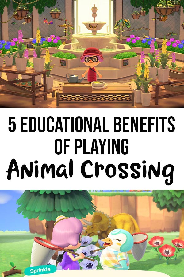 Screenshot of player in Animal Crossing New Horizons butterfly room at the museum and a screenshot of player talking with a penguin villager with text overlay between images.