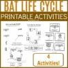 Printable Bat Life Cycle Activities