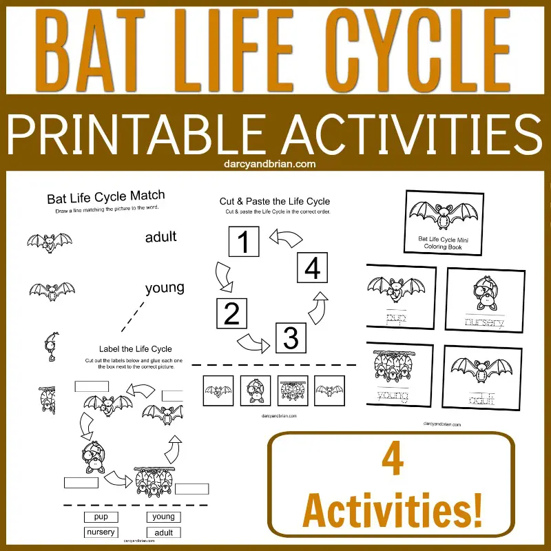 Collage of bat life cycle worksheets with text overlay.