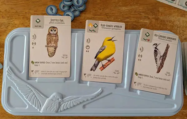 Three cards with birds laying on a light blue tray for Wingspan game.