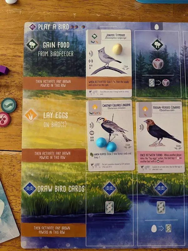 Overhead view of Wingspan player mat with a few bird cards, miniature eggs, and food tokens.