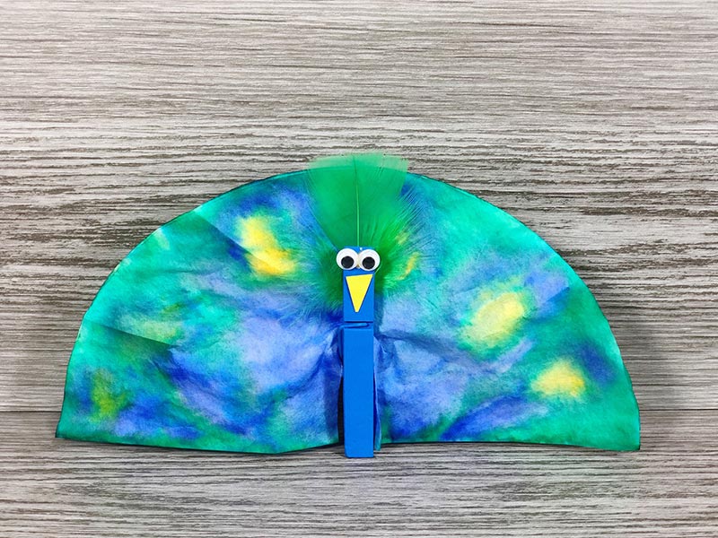 Coffee Filter Peacock Craft