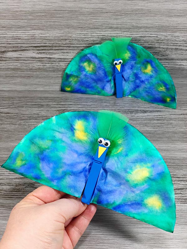 Coffee Filter Peacock Craft