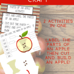 Red text box on top says Build An Apple Craft above preview images of printable activity pages. Additional text states 2 activities in one. Label the parts of an apple then cut and build an apple!