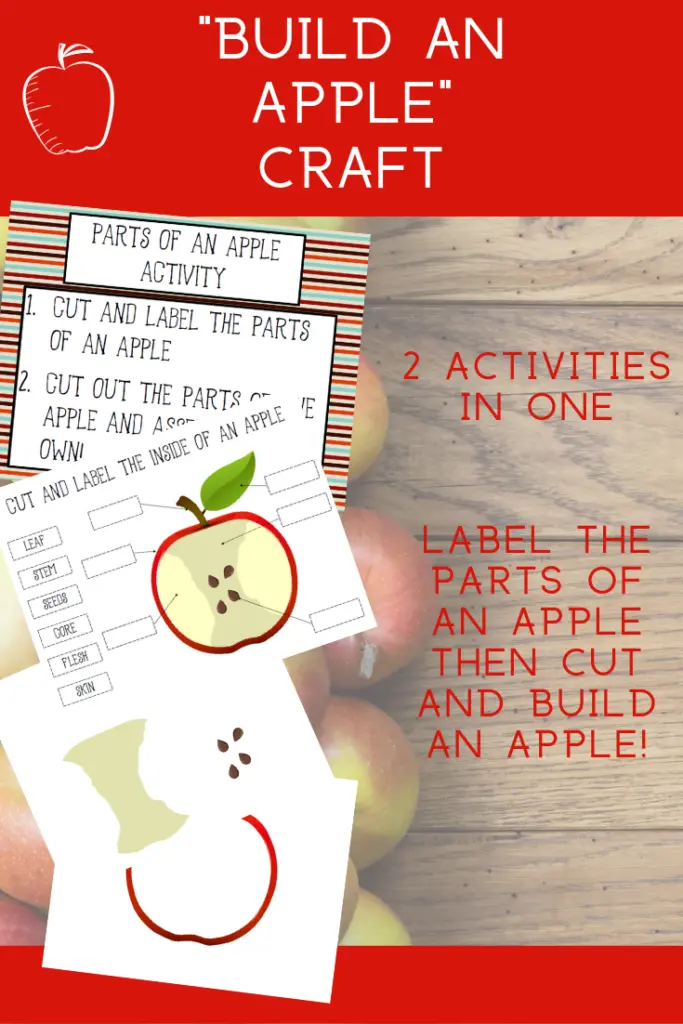 Red text box on top says Build An Apple Craft above preview images of printable activity pages. Additional text states 2 activities in one. Label the parts of an apple then cut and build an apple!