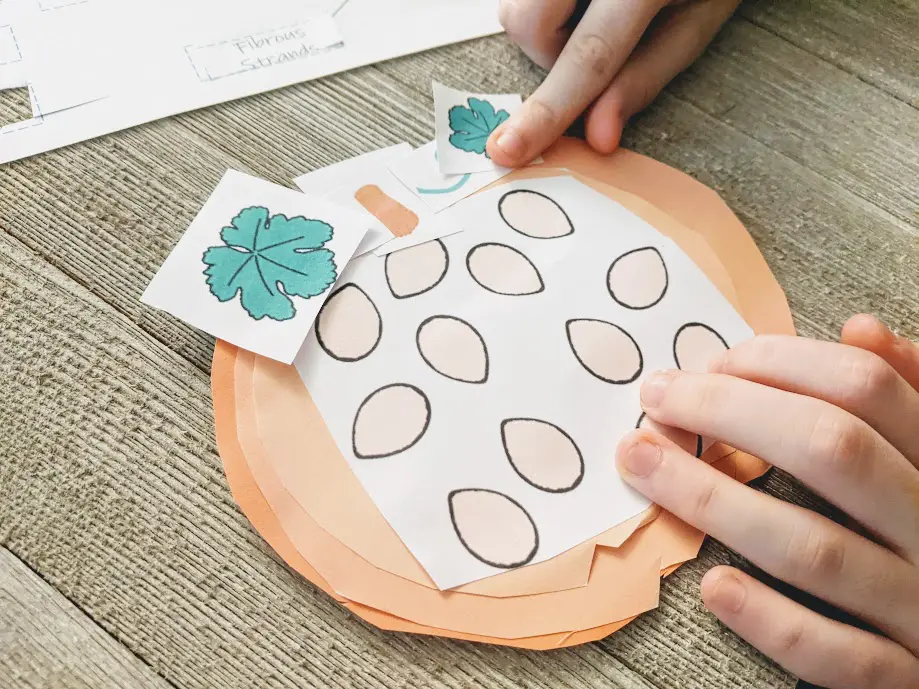 Close view of white child's hands gluing pieces of pumpkin together to build a paper pumpkin cross section.