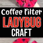 Two completed ladybugs made with coffee filters and clothespins on a grey wood background above text box with craft title. Another finished ladybug laying on grey wood background under text box.