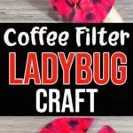 Two completed ladybugs made with coffee filters and clothespins on a grey wood background above text box with craft title. Another finished ladybug laying on grey wood background under text box.