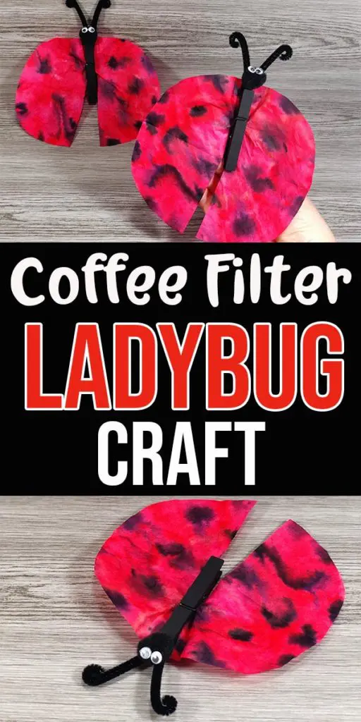 Two completed ladybugs made with coffee filters and clothespins on a grey wood background above text box with craft title. Another finished ladybug laying on grey wood background under text box.