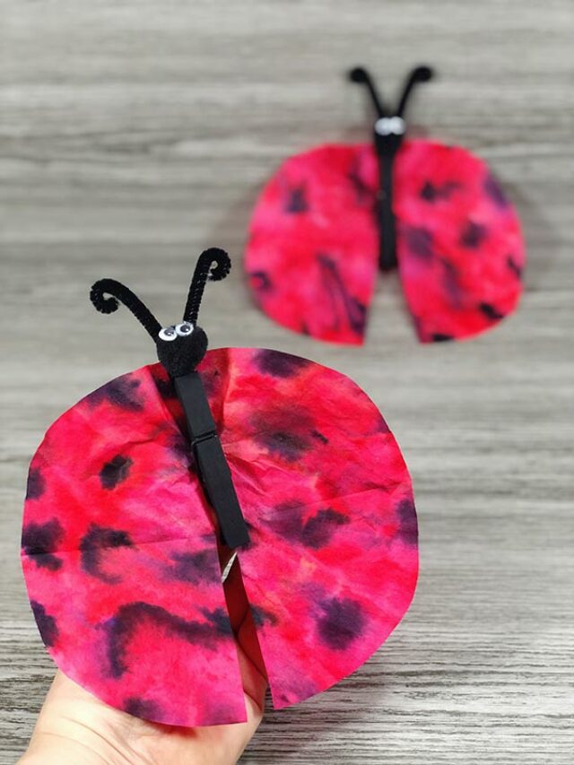 Coffee Filter Ladybug Craft Story