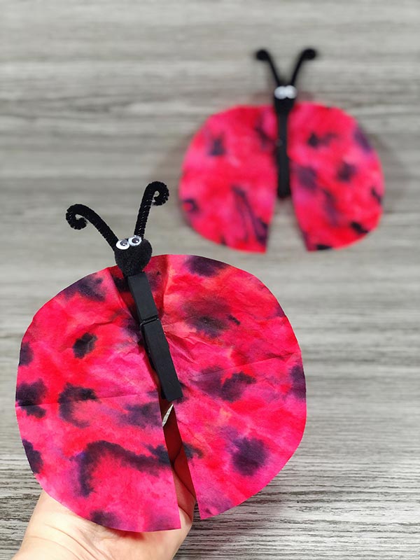 Two coffee filter ladybug crafts, one held up by a hand and another laying against grey wood background.