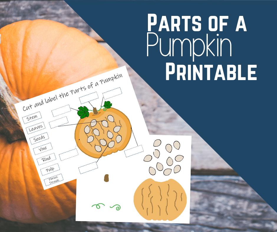 Parts of a Pumpkin Printable Activities for Preschool and Kindergarten