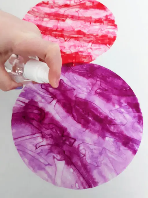 White girl's hand squirting water with a small spray bottle onto coffee filters colored with purple, red, and pink markers.