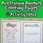 black and white text on green background says Printable Australian Animals Coloring Pages & Activity Ideas. Below text box are two coloring pages printed out laying side by side. One features the dingo and the other is a crocodile. The animal name and pictures are colored in.