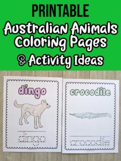black and white text on green background says Printable Australian Animals Coloring Pages & Activity Ideas. Below text box are two coloring pages printed out laying side by side. One features the dingo and the other is a crocodile. The animal name and pictures are colored in.