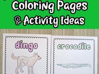 black and white text on green background says Printable Australian Animals Coloring Pages & Activity Ideas. Below text box are two coloring pages printed out laying side by side. One features the dingo and the other is a crocodile. The animal name and pictures are colored in.