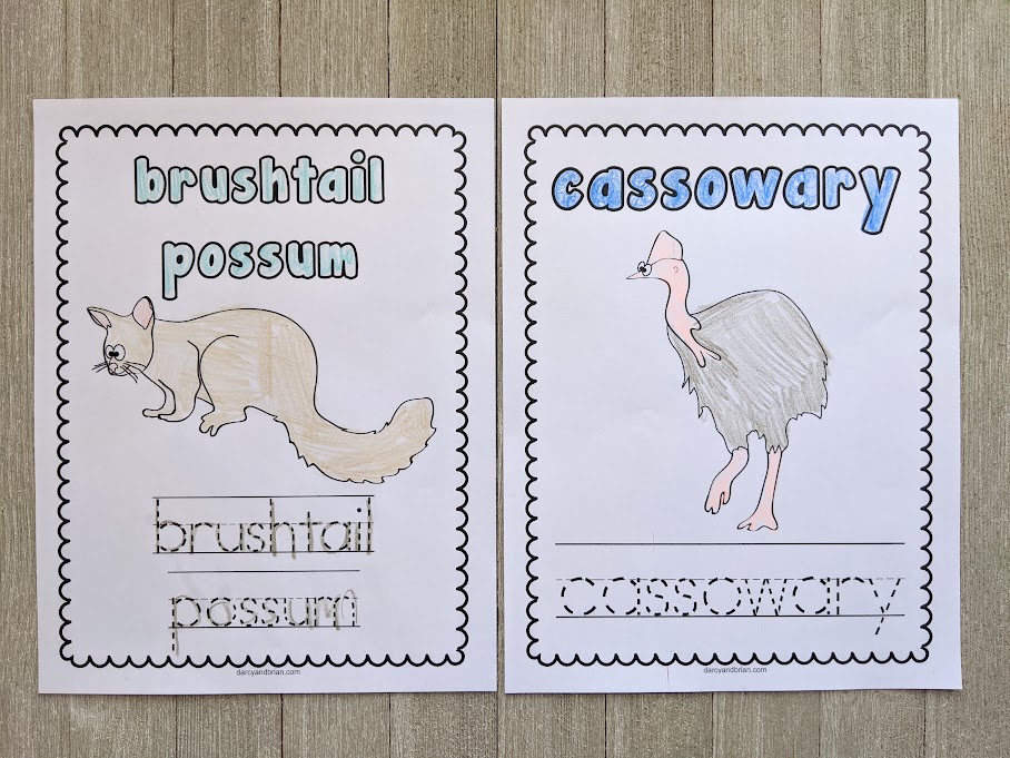 Coloring sheets for brushtail possom and cassowary printed out and laying next to each other colored in.