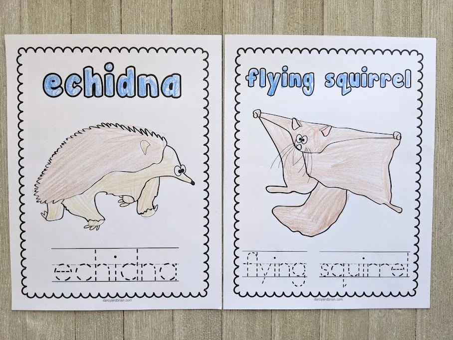 Printed out echidna and flying squirrel coloring sheets. The animal names and animals are colored in with crayon.