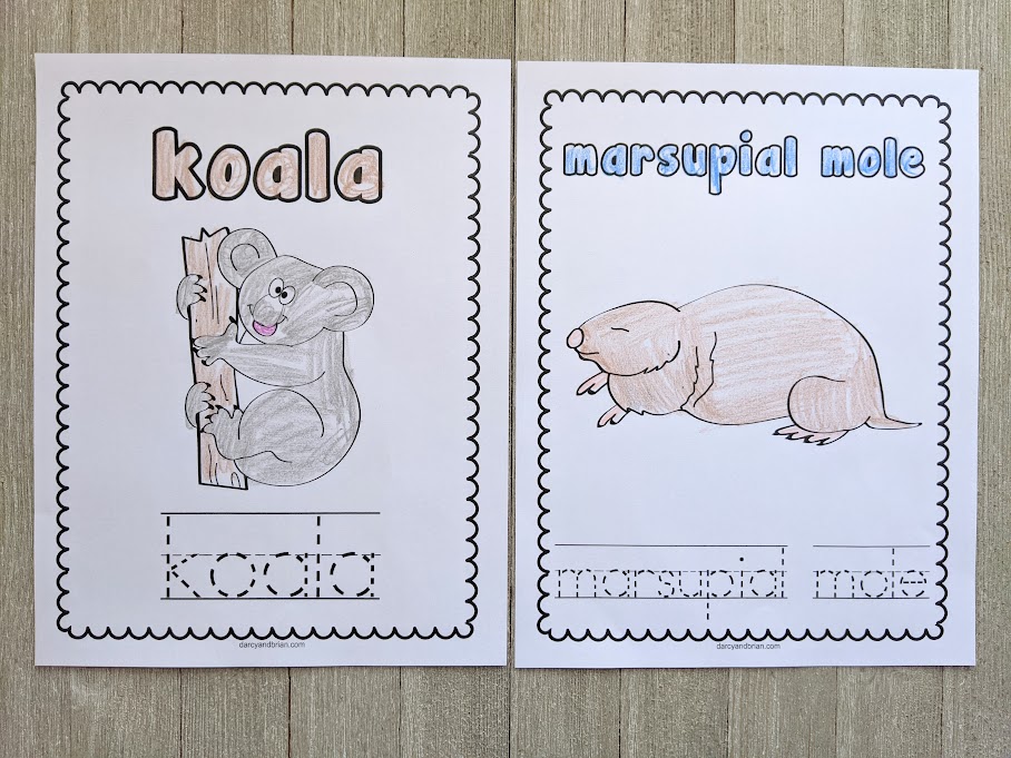 Completed coloring pages for koala and marsupial mole laying side by side.