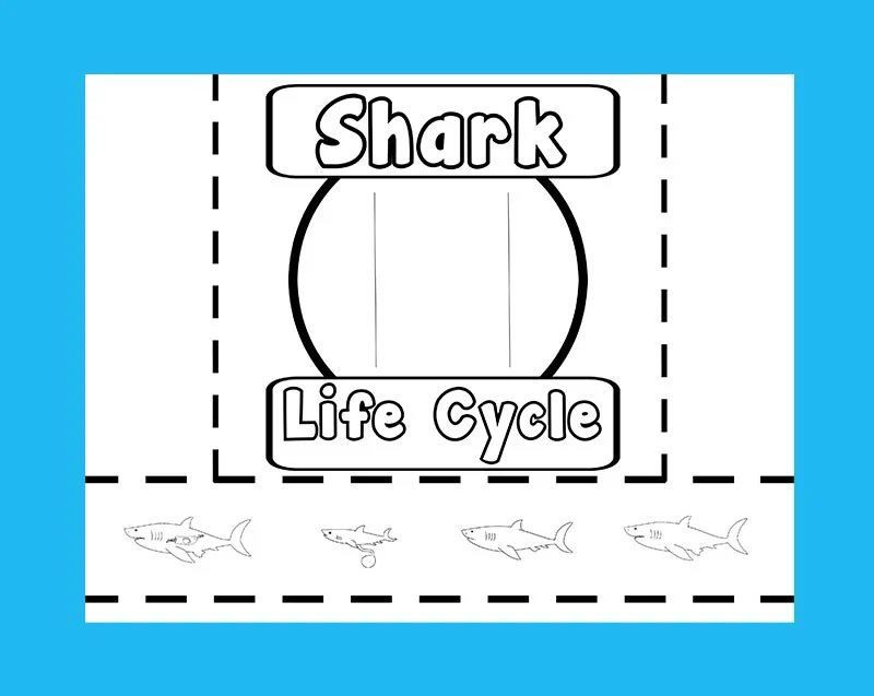 Preview image of shark life cycle slider printable on a bright blue background.