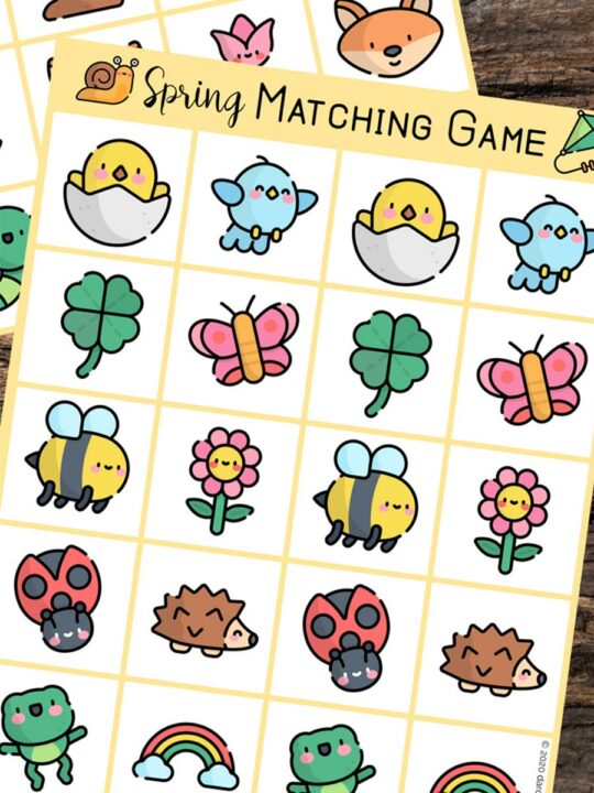 Preview image of spring matching printable game sheets. Spring items include hatching chicks, bluebirds, shamrocks, butterflies, bees, flowers, ladybugs, hedgehogs, frogs, and rainbows.