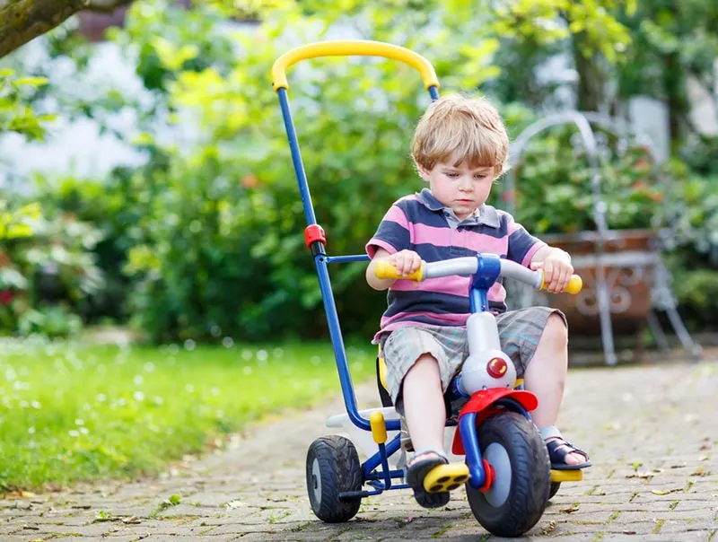 White child preschool age with short blond hair riding a tricycle with a tall handle bar in back for an adult to push. Kid is riding near a garden area.