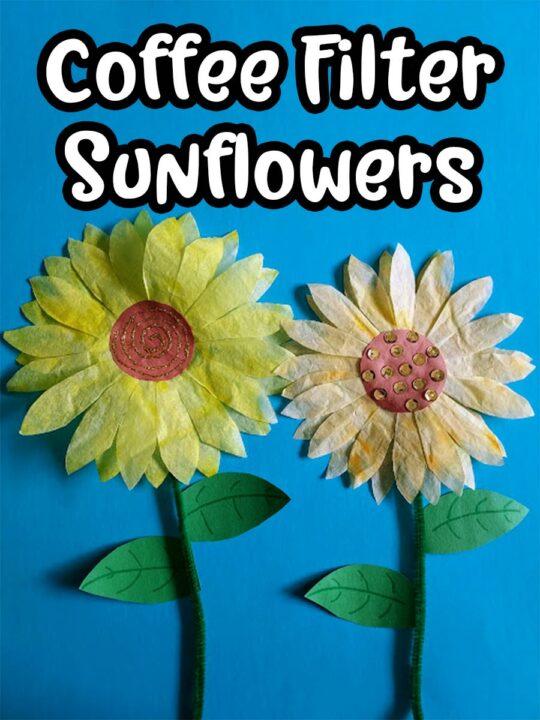 White text with black outline says Coffee Filter Sunflowers above two completed coffee filter sunflower crafts glued to blue construction paper with green pipe cleaner stems.