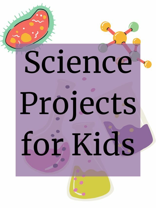 Science Activities for Kids Story