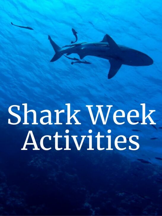 Shark Week Activities