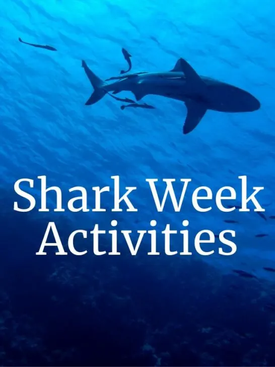 Shark Week Activities