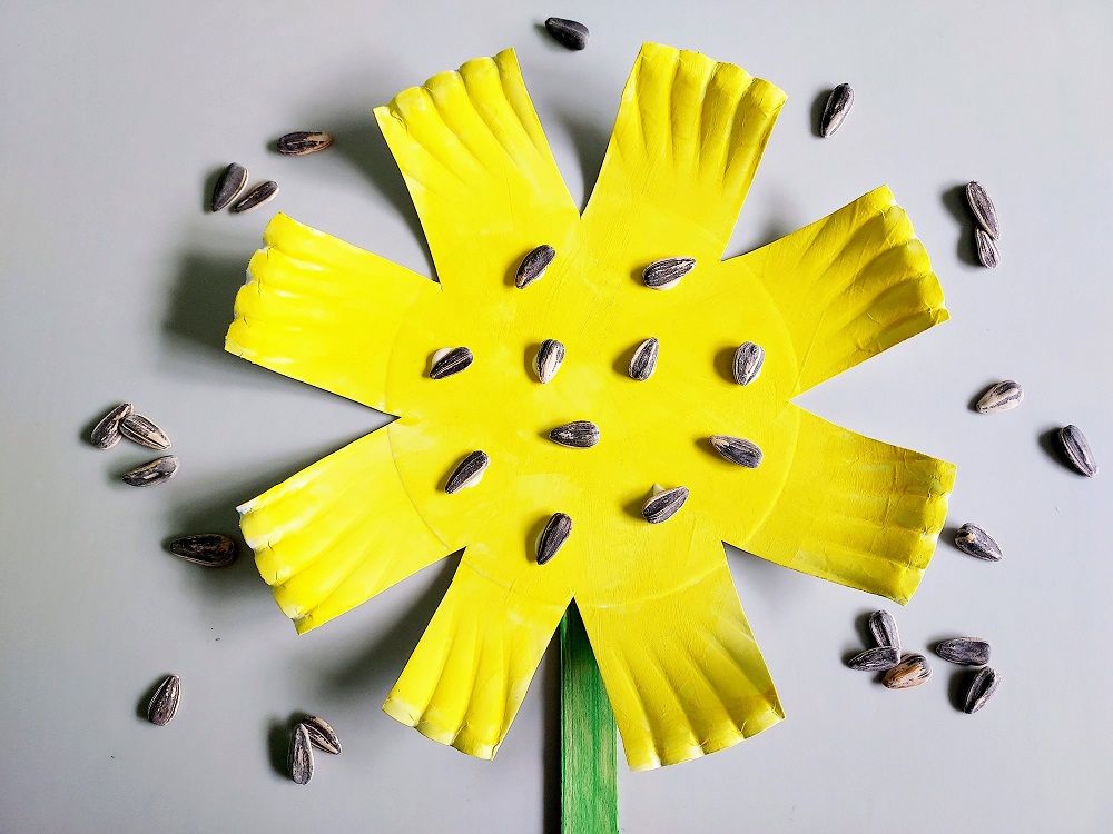 Close top down view of paper plate cut and painted yellow with sunflower seeds glue to it. Seeds scattered around it.