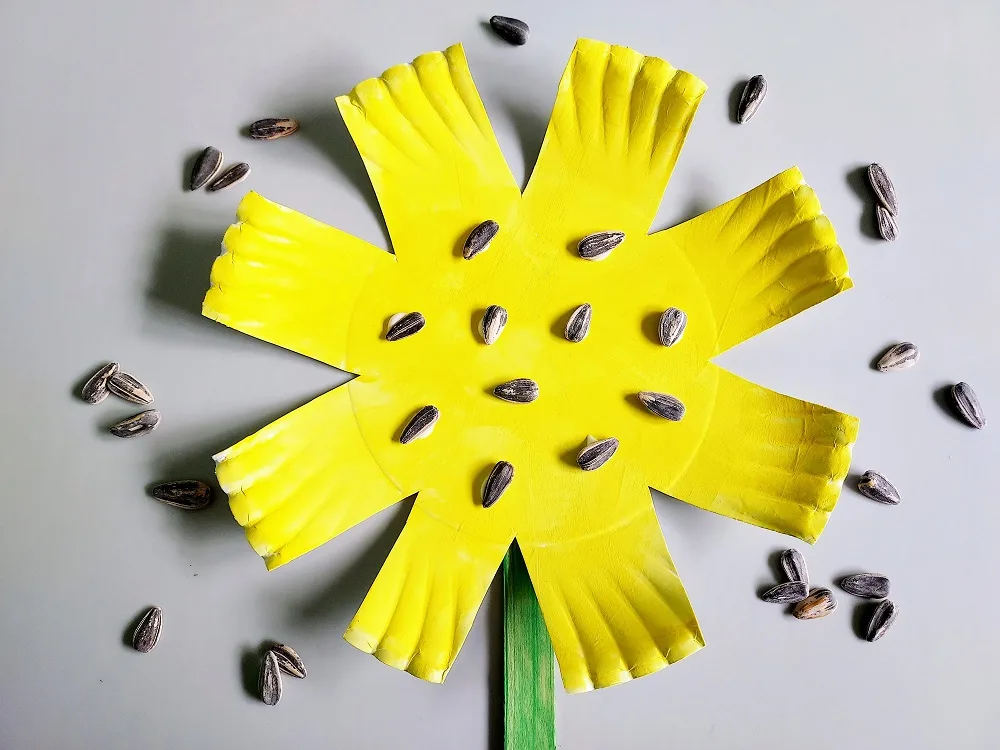 Close top down view of paper plate cut and painted yellow with sunflower seeds glue to it. Seeds scattered around it.