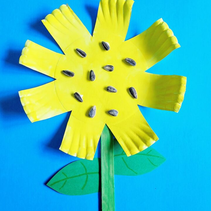 Completed paper plate sunflower craft made with a paper plate cut like a flower, painted yellow, and sunflower seeds glued in the middle. Popsicle stick painted green glued to plate. Green paper leaves cut out and glued to stick. Completed craft laying on a blue background.