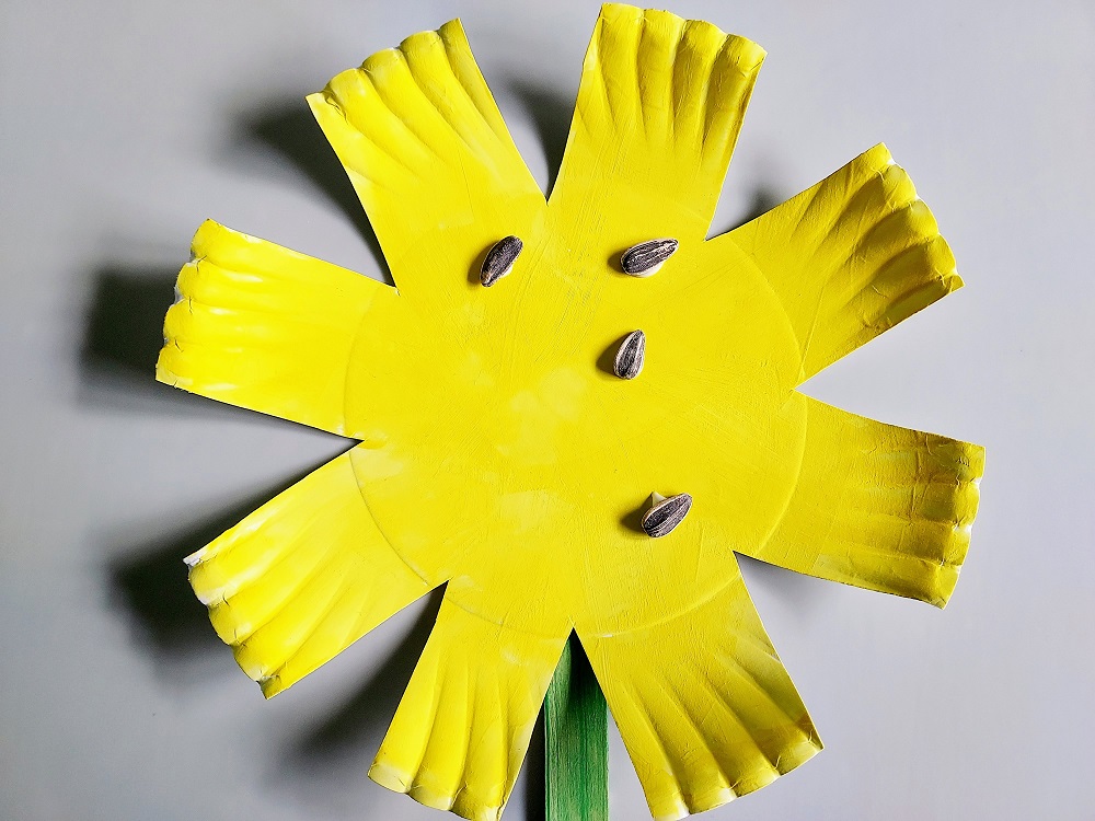 Close view of yellow painted paper plate cut to look like a sunflower getting sunflower seeds glued to the center.