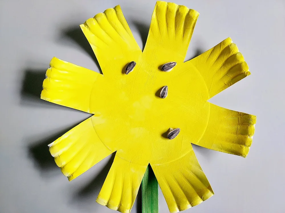 Close view of yellow painted paper plate cut to look like a sunflower getting sunflower seeds glued to the center.