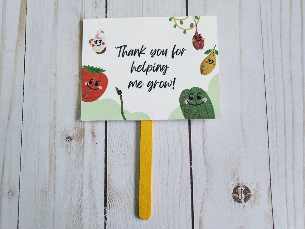 Plant themed gift tag printed on cardstock, cut out and glued to a popsicle stick. Gift tag says Thank you for helping me grow!